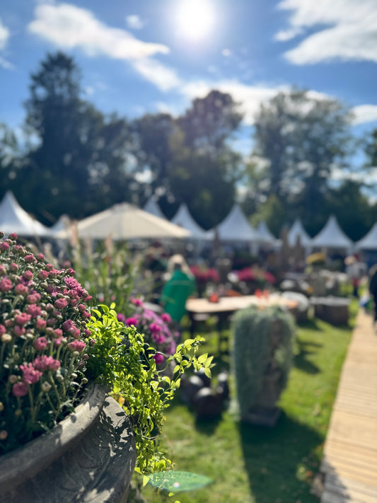 Landpartie Gut Horn bei Bad Zwischenahn Markt für besondere Einrichtung und Lebensgefühl